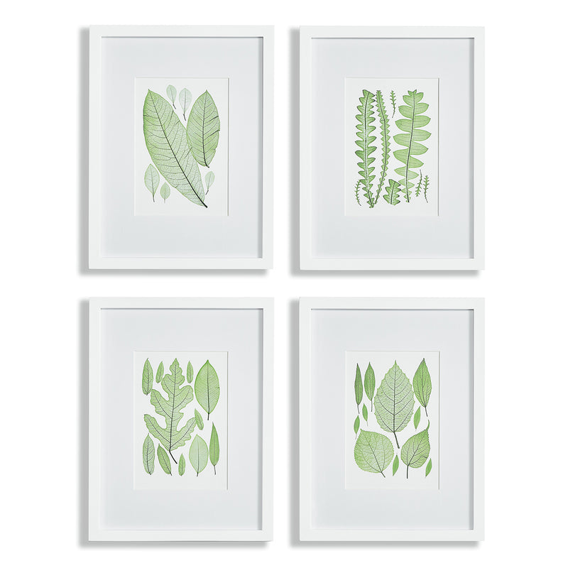 Assorted Leaf Print Wall Art Set of 4