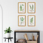 Forest Fern Print Wall Art Set of 4