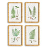 Forest Fern Print Wall Art Set of 4