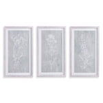 Sketched Botanical Wall Art Set of 3