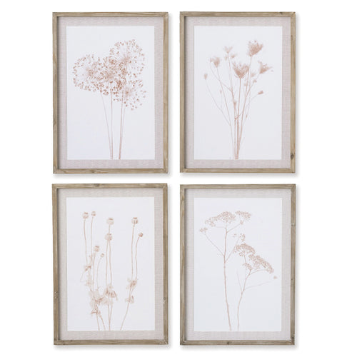 Stylized Botanical Wall Art Set of 4