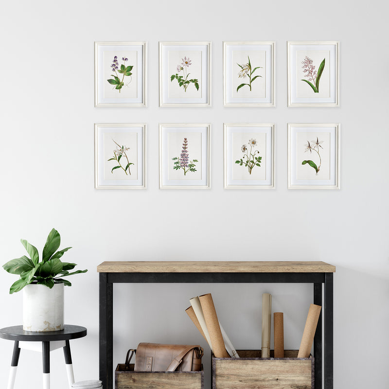 Flowers In Bloom Petite Print Wall Art Set of 8