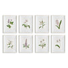 Flowers In Bloom Petite Print Wall Art Set of 8