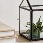 Cottage Terrarium