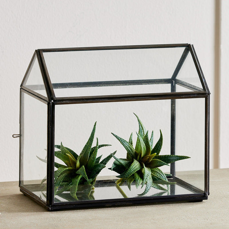 Cottage Terrarium