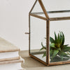 Cottage Terrarium