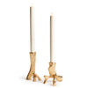 Hyde Taper Candleholder Set of 2