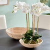 Cane Rattan Low Bowl Set of 2