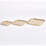 Dezi Rectangular Serving Tray Set of 3