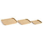 Dezi Rectangular Serving Tray Set of 3