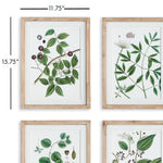 Verdant Branch Wall Art Set of 4