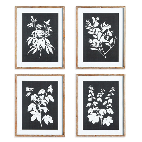 Monochrome Botanical Wall Art Set of 4