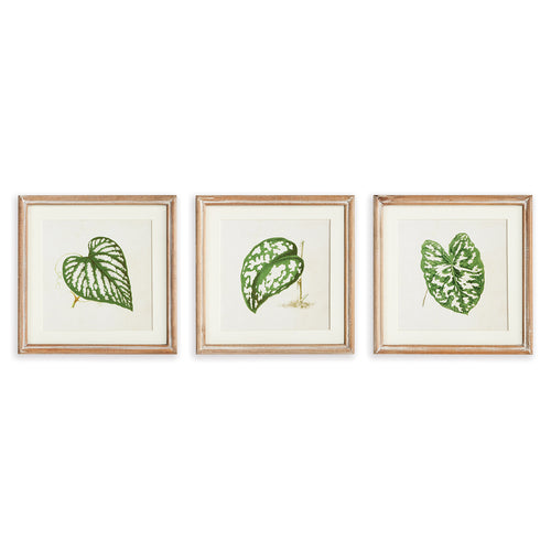 Leaf Cuttings Petite Print Wall Art Set of 3