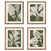 Translucent Stem Wall Art Set of 4