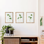 Clover Cuttings Petite Print Wall Art Set of 3