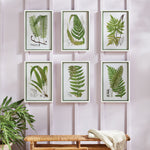 Layered Fern Print Wall Art Set of 6