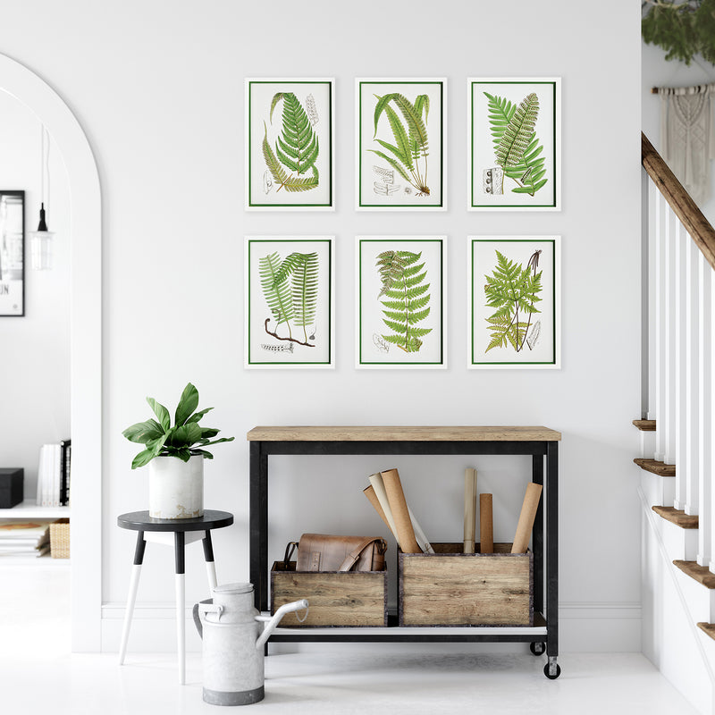 Layered Fern Print Wall Art Set of 6