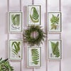 Layered Fern Print Wall Art Set of 6