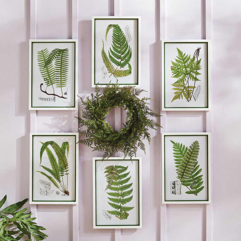 Layered Fern Print Wall Art Set of 6