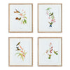 Playful Hummingbird Wall Art Set of 4