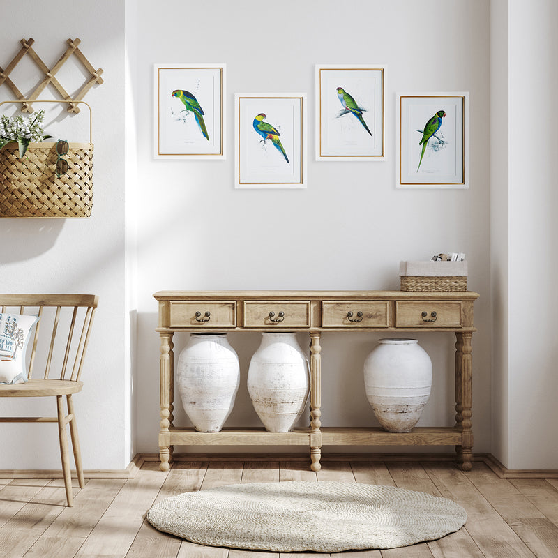 Colorful Parrots Print Wall Art Set of 4