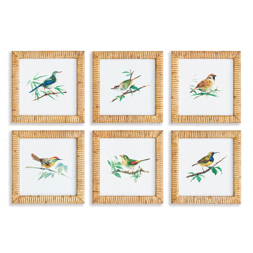 Songbird Petite Wall Art Set of 6