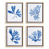 Indigo Seaweed Print Wall Art Set of 4