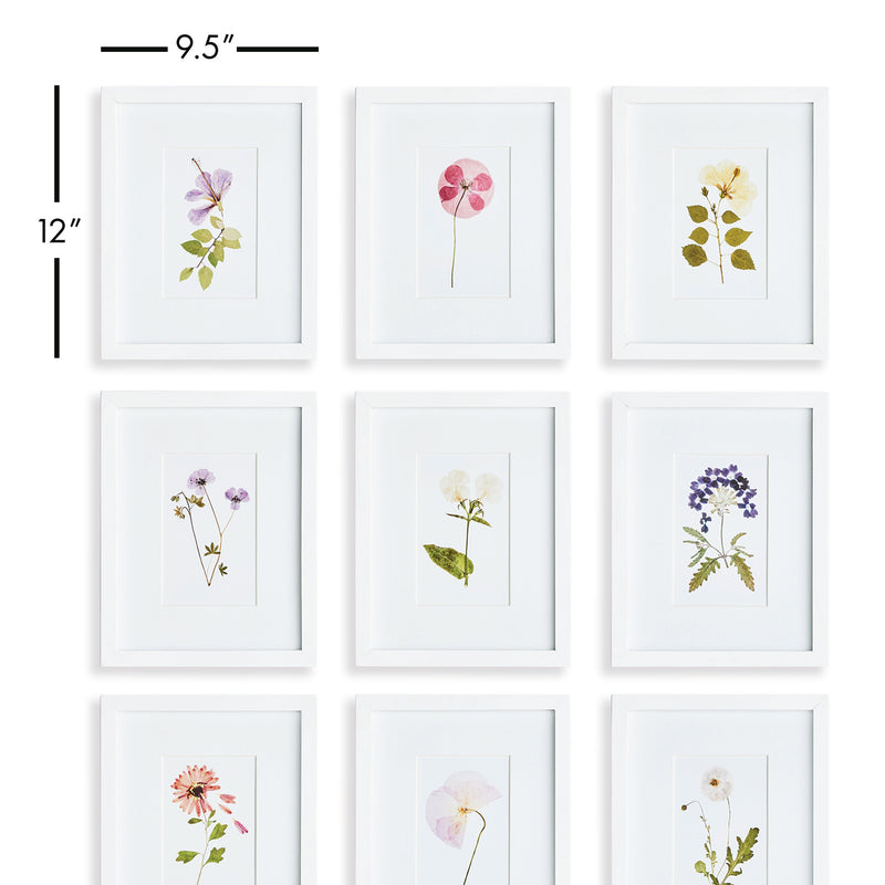 Mountain Flower Petite Wall Art Set of 9