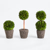 Boxwood Mini Topiaries Drop in Faux Plant Set of 3