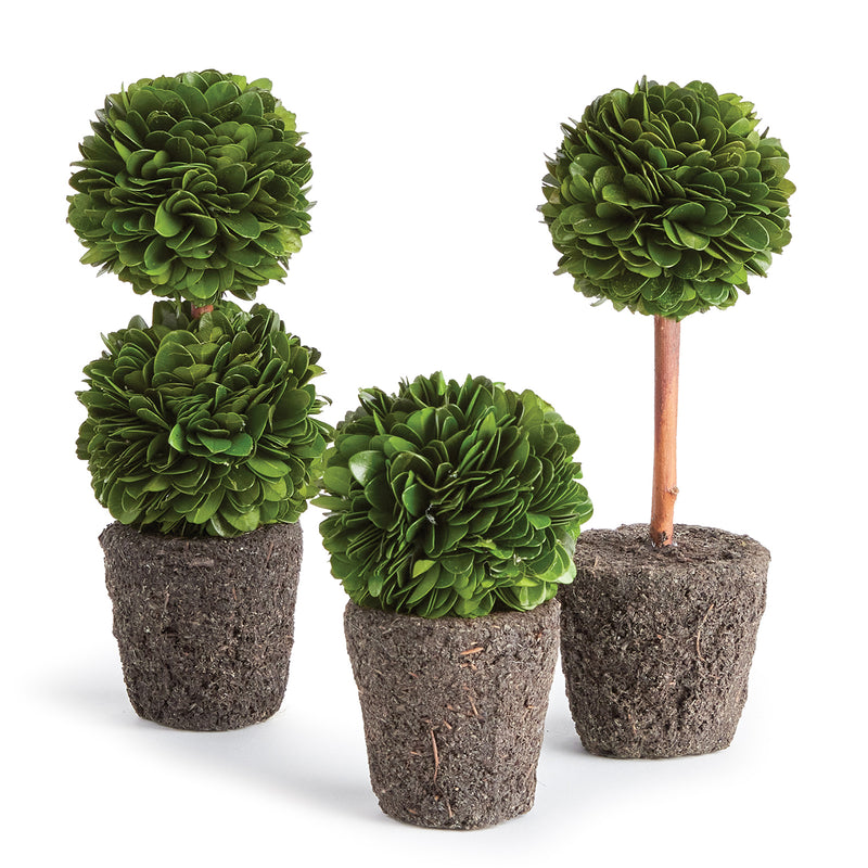 Boxwood Mini Topiaries Drop in Faux Plant Set of 3