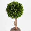 Boxwood Single Sphere Topiary Drop-In Faux Plant