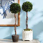 Boxwood Single Sphere Topiary Drop-In Faux Plant