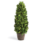 Boxwood Cone Topiary Drop-In Faux Plant