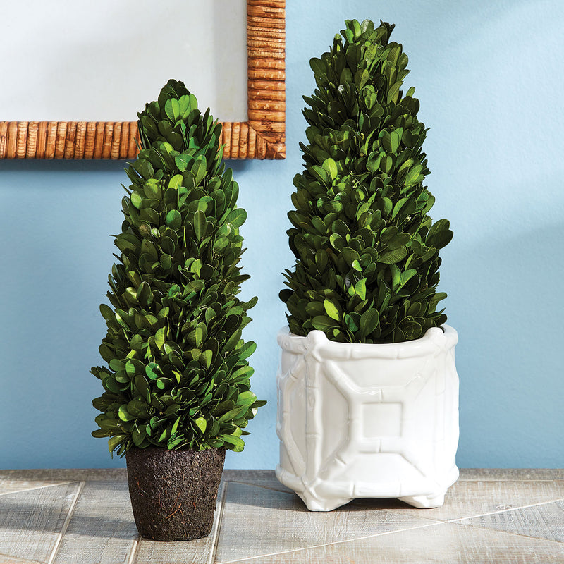 Boxwood Cone Topiary Drop-In Faux Plant