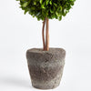 Boxwood Double Sphere Topiary Drop-In Faux Plant