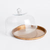 Braiden Tray With Cloche