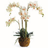 Phalaenopsis Orchid II Drop-In Faux Plant