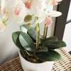 Phalaenopsis Orchid II Drop-In Faux Plant