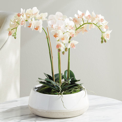 Phalaenopsis 16in Mini Garden Drop-In Faux Plant