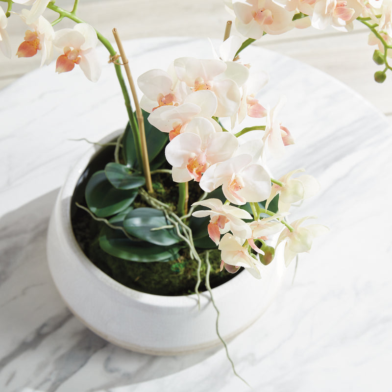 Phalaenopsis 16in Mini Garden Drop-In Faux Plant