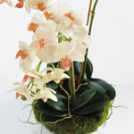 Phalaenopsis 16in Mini Garden Drop-In Faux Plant