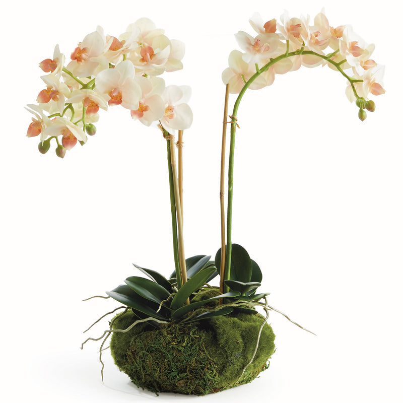 Phalaenopsis 16in Mini Garden Drop-In Faux Plant