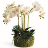 Phalaenopsis Orchid Bowl 18.5in Drop-In Faux Plant