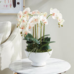 Phalaenopsis Orchid Bowl 18.5in Drop-In Faux Plant