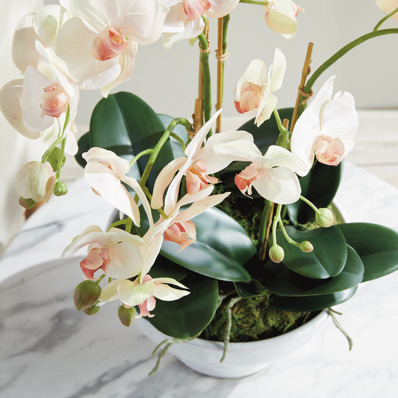 Phalaenopsis Orchid Bowl 18.5in Drop-In Faux Plant