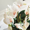 Phalaenopsis Orchid Bowl 18.5in Drop-In Faux Plant