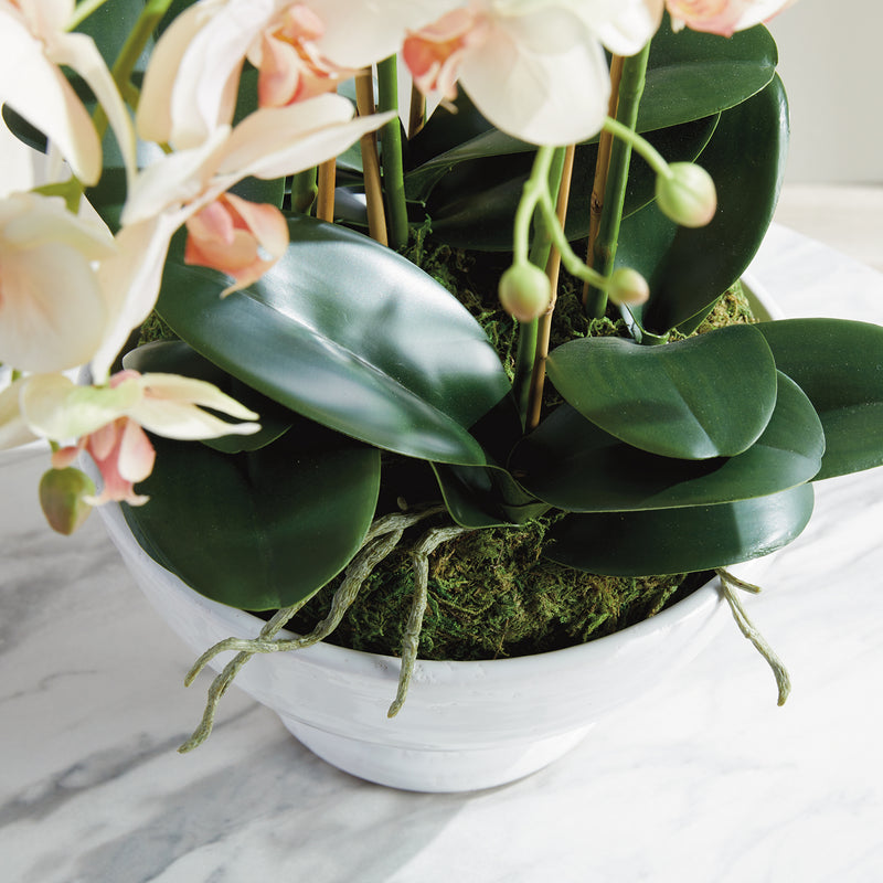 Phalaenopsis Orchid Bowl 18.5in Drop-In Faux Plant