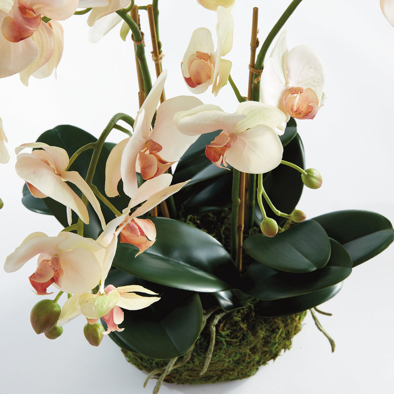 Phalaenopsis Orchid Bowl 18.5in Drop-In Faux Plant