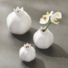 Pomona Bud Vase Set of 3