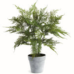 Plumosa Fern 21in Drop-In Faux Plant